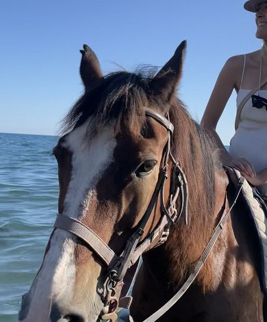 Horse riding
