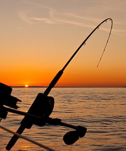 Fishing Tour