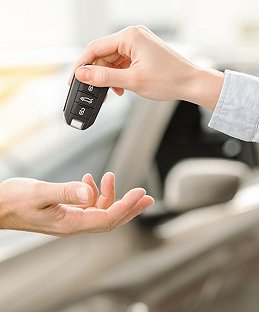 Rent a Vehicle
