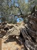 Half-Day Tour to Navagio, Blue Caves & White Beach